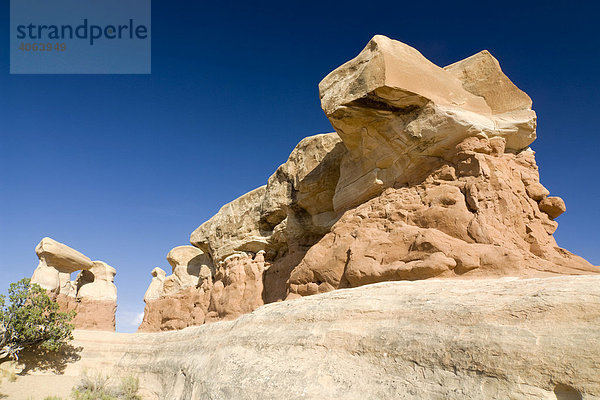 Sandsteinformationen im Devils Garden  Grand Staircase Escalante National Monument  Utah  USA  Nordamerika