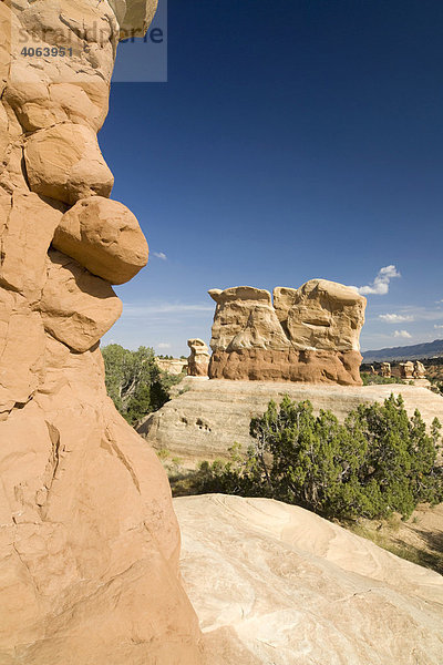 Sandsteinformationen im Devils Garden  Grand Staircase Escalante National Monument  Utah  USA  Nordamerika