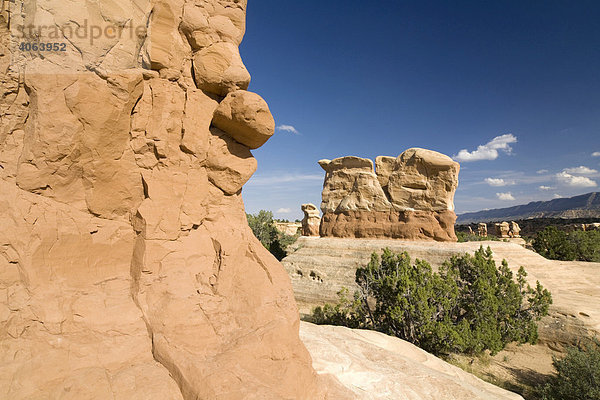 Sandsteinformationen im Devils Garden  Grand Staircase Escalante National Monument  Utah  USA  Nordamerika