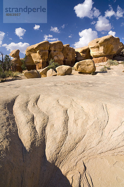 Sandsteinformationen im Devils Garden  Grand Staircase Escalante National Monument  Utah  USA  Nordamerika