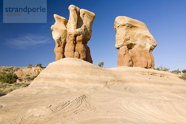 Sandsteinformationen im Devils Garden  Grand Staircase Escalante National Monument  Utah  USA  Nordamerika