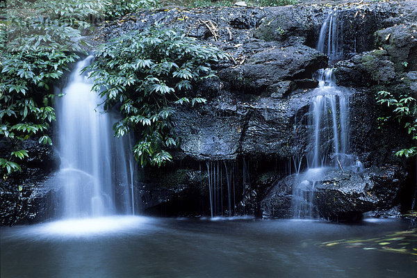Elebana Wasserfall  Lamington Nationalpark  Queensland  Australien