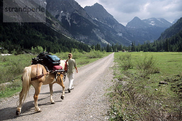 Trekking mit Haflinger durch das Karwendelgebirge  Naturfotografin bei der Arbeit  Nordtirol  Österreich  Europa