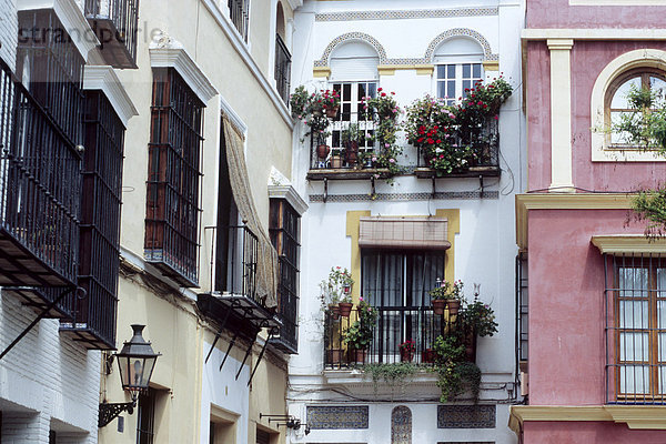 Hausfassaden in Sevilla  Andalusien  Spanien  Europa