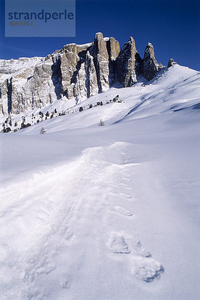 Türme der Sella im Winter  Südtirol  Italien  Europa