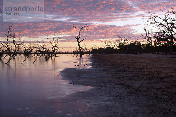 Sonnenaufgang am Lake Pamamaroo  New South Wales  Australien