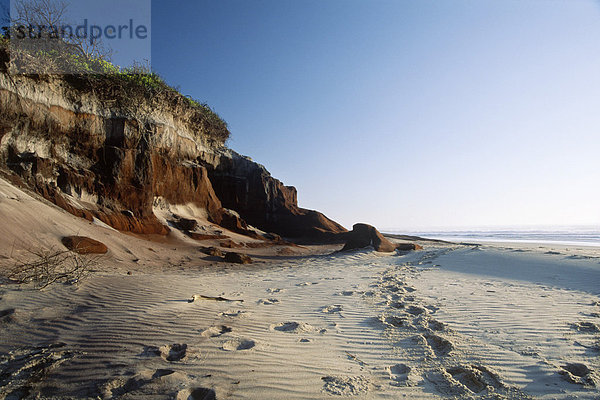 Schwarze Sandsteinfelsen im Bundjalung Nationalpark  New South Wales  Australien