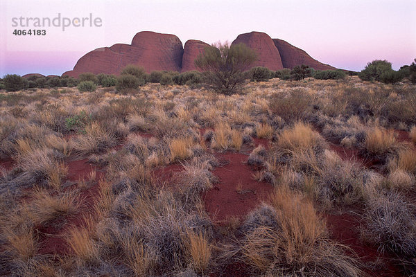 Olgas zur Blauen Stunde  Katja Tjuta  Uluru Nationalpark  Northern Territory  Australien