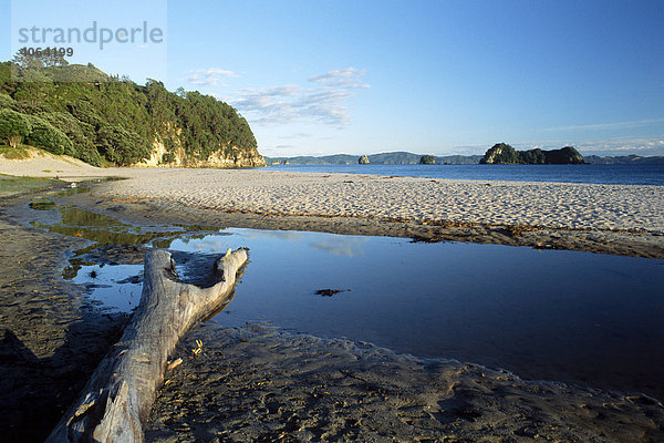 Küste auf der Coromandel Halbinsel  Nordinsel  Neuseeland