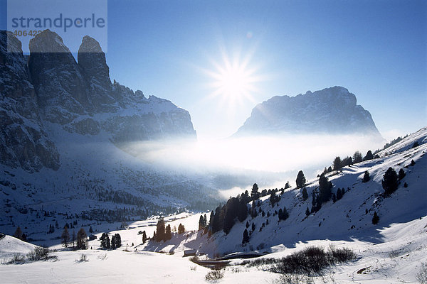 Blick vom Grödner Joch auf Sellajoch und Langkofel im Winter  Südtirol  Italien  Europa