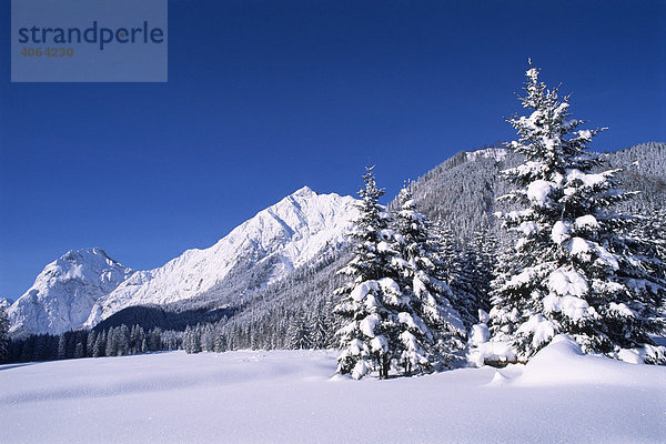 Sonnjoch im Winter  Karwendelgebirge  Nordtirol  Österreich  Europa