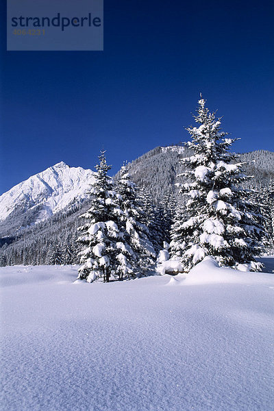 'Sonnjoch im Winter  Karwendelgebirge  Nordtirol  Österreich  Europa ***RESTRICTIONS: Usages: All advertising use + Website