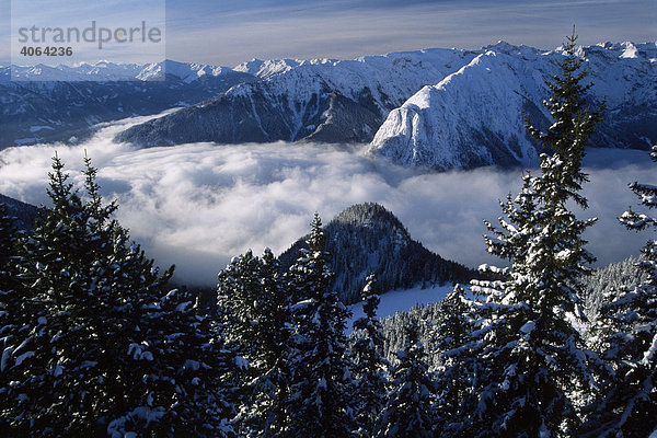 Blick von der Erfurter Hütte über das Karwendelgebirge  Nordtirol  Österreich  Europa