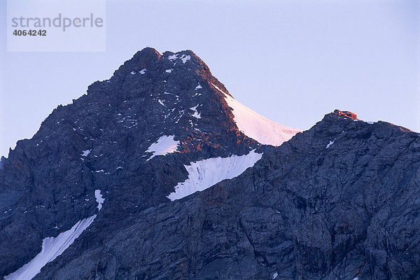 Großglockner  im Vordergrund die Hütte Adlersruh  Nationalpark Hohe Tauern  Osttirol  Österreich  Europa