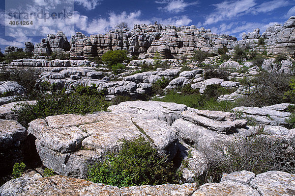 Naturpark Torcal de Antequera  Provinz Malaga  Andalusien  Spanien
