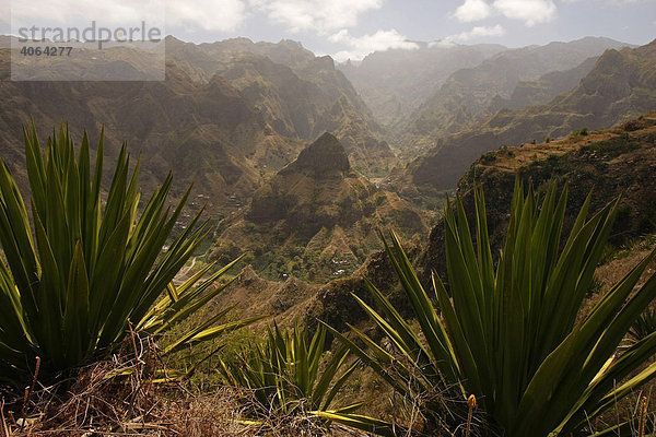 Landschaft mit wenigen Pflanzen auf Santo Antao  Kap Verde  Kapverdische Inseln  Afrika