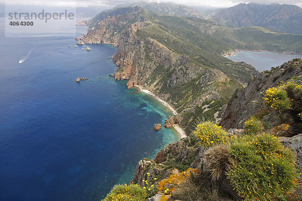 Traumhafte Buchten und steile Felsen am Capo Rosso  Insel Korsika  Frankreich  Europa