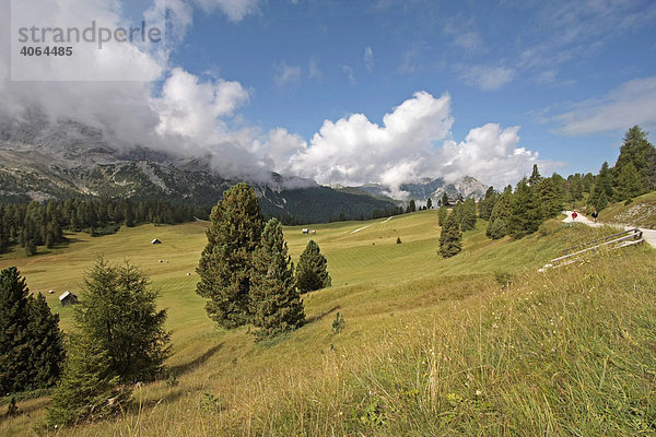 Die Plätzwiese  ital. Prato Piazza  ein Hochplateau in den Dolomiten im Naturpark Fanes-Senes-Prags in Südtirol  Italien  Europa