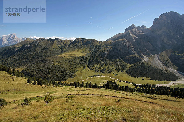 Die Hochalm Seiser Alm  Alpe di Siusi  in den Dolomiten im Sommer  bei Seis am Schlern  Südtirol  Italien  Europa