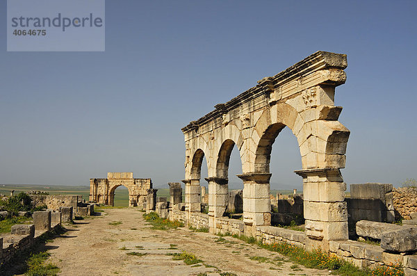 Der Gordische Palast und der Triumphbogen in der römischen Ruinenstadt Volubilis  Marokko  Afrika