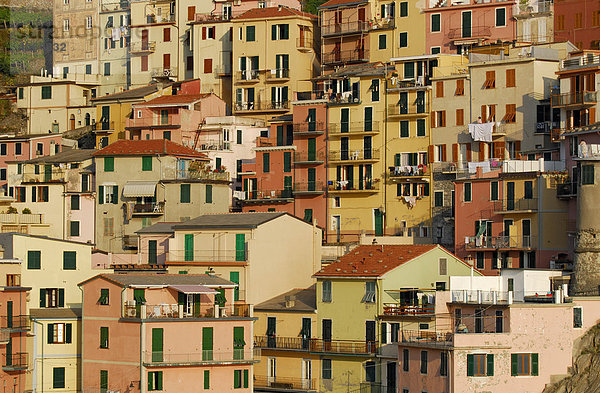 Bemerkenswerte Anordnung von farbigen Hausfassaden im Dorf Manarola  Cinque Terre  Ligurien  Mittelmeer  Italien  Europa