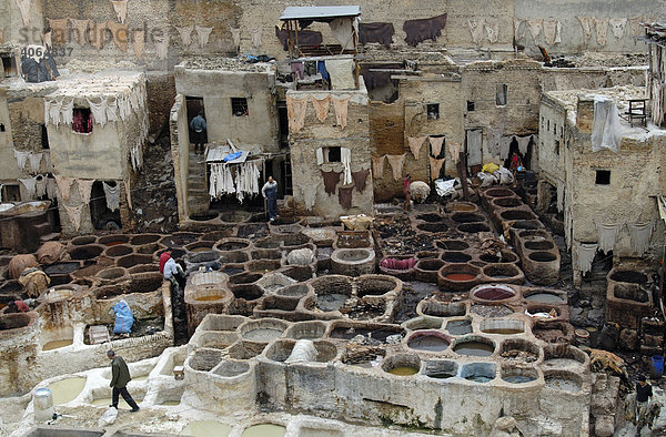 Gerbereien von Fes  Fez  Medina  Marokko  Nordafrika