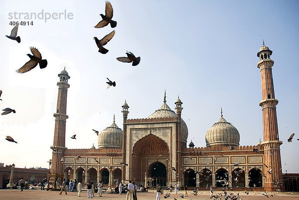 Jama-Masjid-Moschee  Delhi  Uttar Pradesh  Indien  Asien