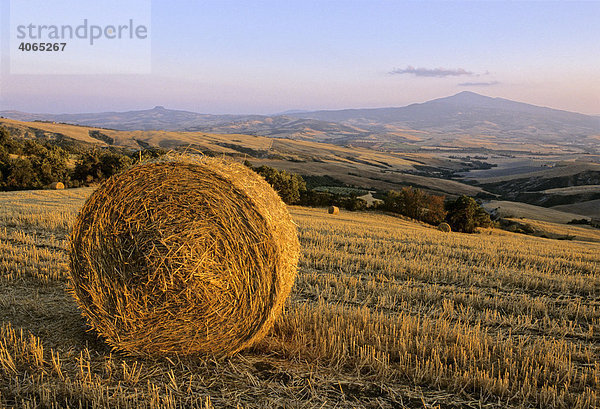 Strohballen  abgerentete Weizenfelder  Landschaft vor Radicofani und Monte Amiata bei Sonnenuntergang  Val d' Orcia bei Monticchiello  Provinz Siena + Grosseto  Toskana  Italien  Europa