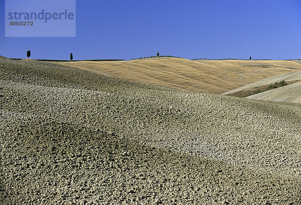 Abgeerntete Weizenfelder  gepflügter Acker  Landschaft bei Montalcino  Provinz Siena  Toskana  Italien  Europa