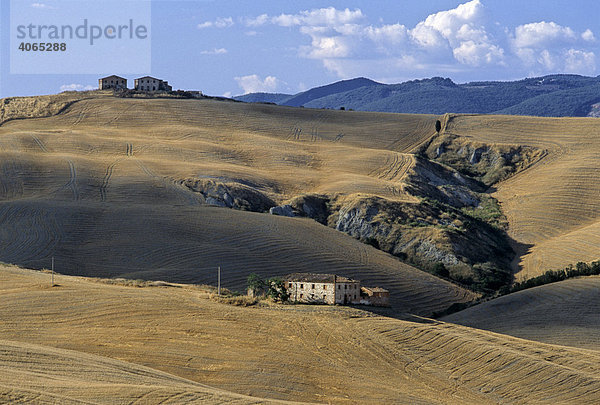 Gehöfte in abgernteten Weizenfeldern  Le Crete bei Pievina  Provinz Siena  Toskana  Italien  Europa