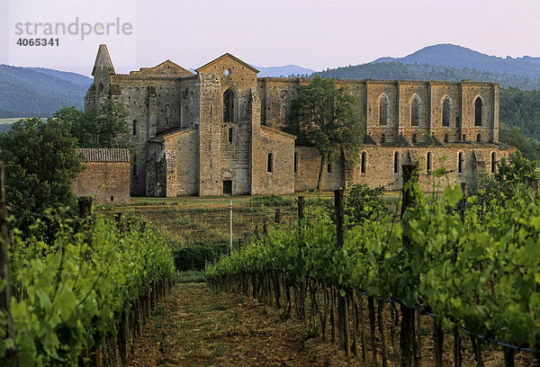 Ruine der Abteibasilika  Zisterzierserkloster Abbazia di San Galgano bei Chiusdino  Provinz Siena  Toskana  Italien  Europa