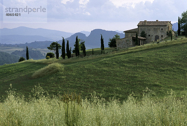 Landhaus  Podere  in den Colline Metallifere bei San Donato  Provinz Siena  Toskana  Italien  Europa