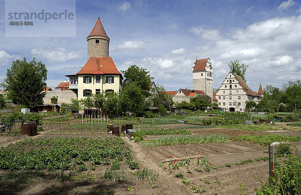 Gemüsegärten an Stadtmauer  Salwartenturm  Nördlinger Tor  Stadtmühle  Dinkelsbühl  Mittelfranken  Franken  Bayern  Deutschland  Europa