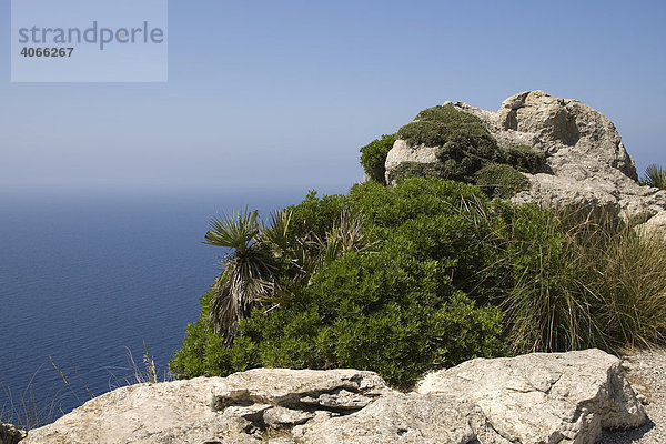 Blick vom Aussichtspunkt Mirador des Colomer am Cap Formentor  Mallorca  Balearen  Spanien  Europa