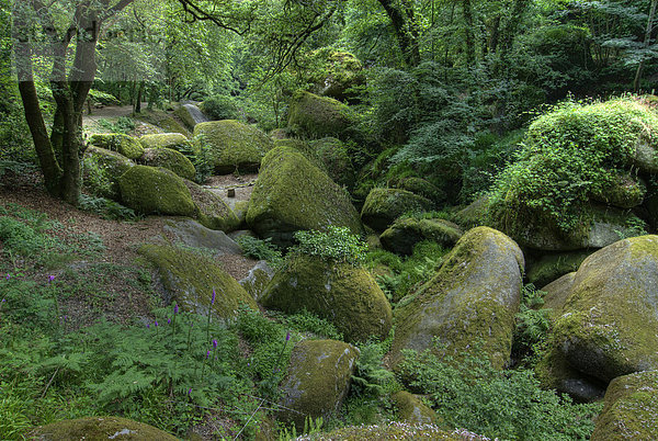 Granitfelsen im Forêt de Huelgoat  Bretagne  Frankreich  Europa
