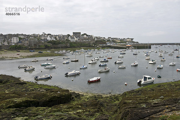 Boote im Hafen und Häuser von Le Conquet  früher ein Seeräuberort  Bretagne  Frankreich  Europa