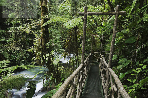 Pfad in Nebelwald  La Paz Waterfall Gardens  Central Valley  Costa Rica  Zentralamerika