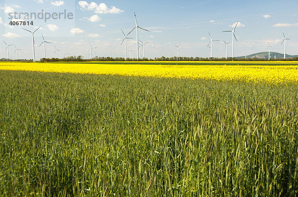 Windräder auf Feldern  Burgenland  Österreich  Europa