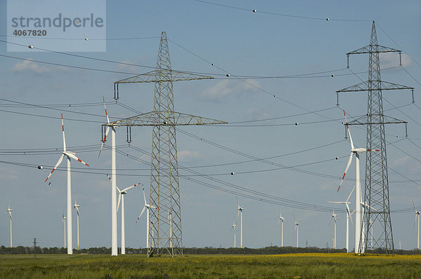 Strommasten und Windräder auf Feldern  Burgenland  Österreich  Europa