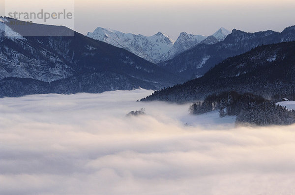 Nebel über Attersee  Salzkammergut  Oberösterreich  Österreich  Europa