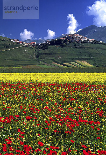 Castelluccio im Frühsommer im Piano Grande  Italien  Europa