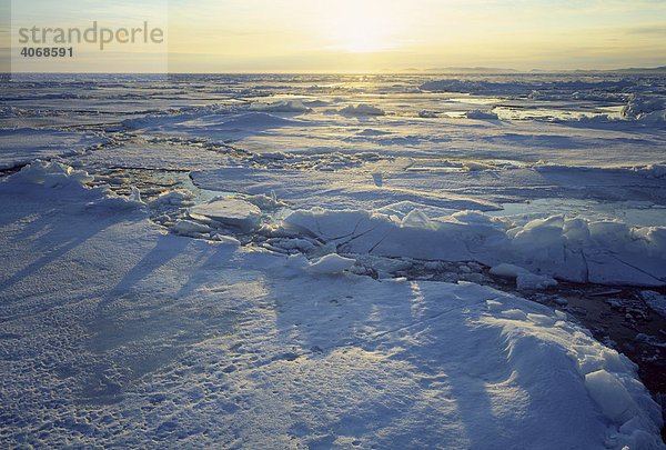 Packeis  Spitzbergen  Norwegen  Arktis