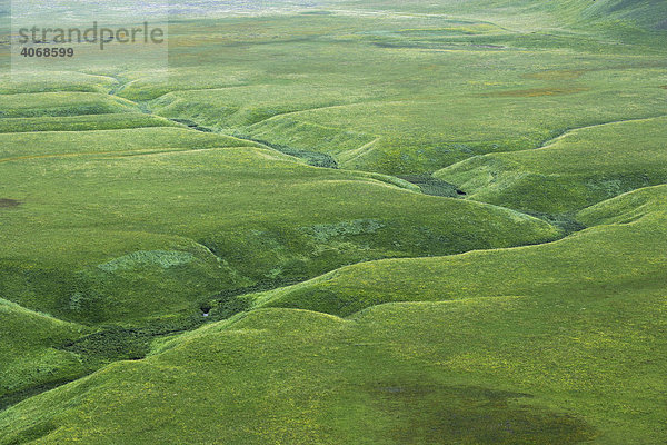 Wasserlauf in Moorlandschaft  Castelluccio  Umbrien  Italien  Europa