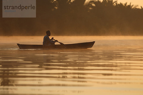 Fischer  Kanu  Morgendunst  Nebenarm von Fluss Sungai Barito bei Banjarmasin  Süd-Kalimantan  Borneo  Indonesien  Südostasien