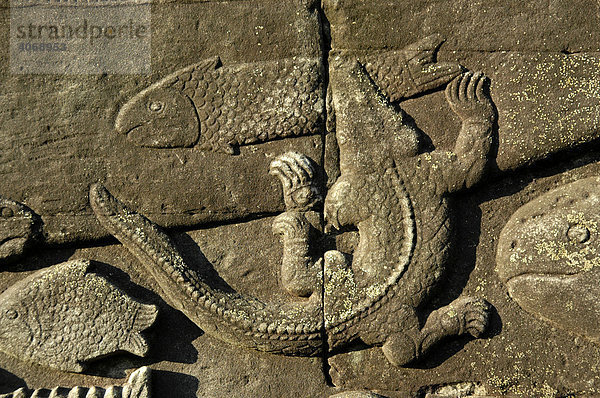 Feines Relief Krokodil frisst Fisch  Tempel The Bayon in Tempelanlage Angkor Thom  Siem Reap  Kambodscha  Südostasien