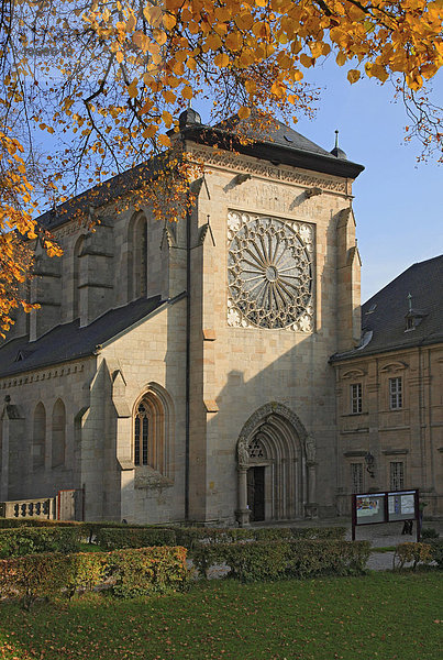 Rosette am Kloster Ebrach  Landkreis Bamberg  Oberfranken  Deutschland  Europa