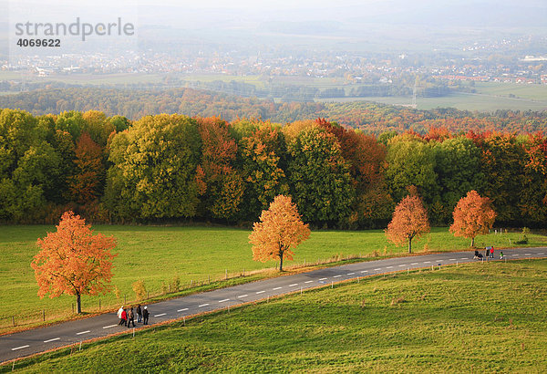 Herbstlandschaft in Oberfranken  Bayern  Deutschland  Europa