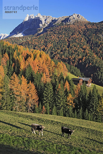 Würzjoch am Villnößtal  Südtirol  Italien  Europa