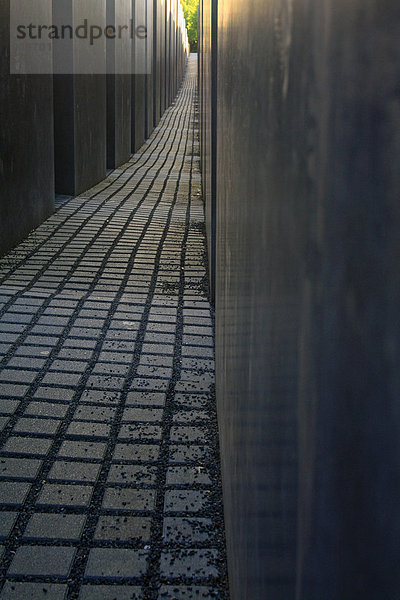Stelenfeld  Denkmal für die ermordeten Juden Europas  Holocaust Mahnmal  Berlin  Deutschland  Europa