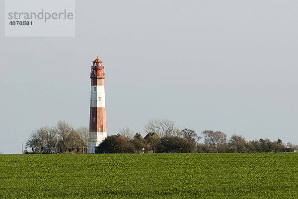 Der Leuchtturm Flügge im Krummsteert Naturschutzgebiet auf Fehmarn  Schleswig-Holstein  Deutschland  Europa